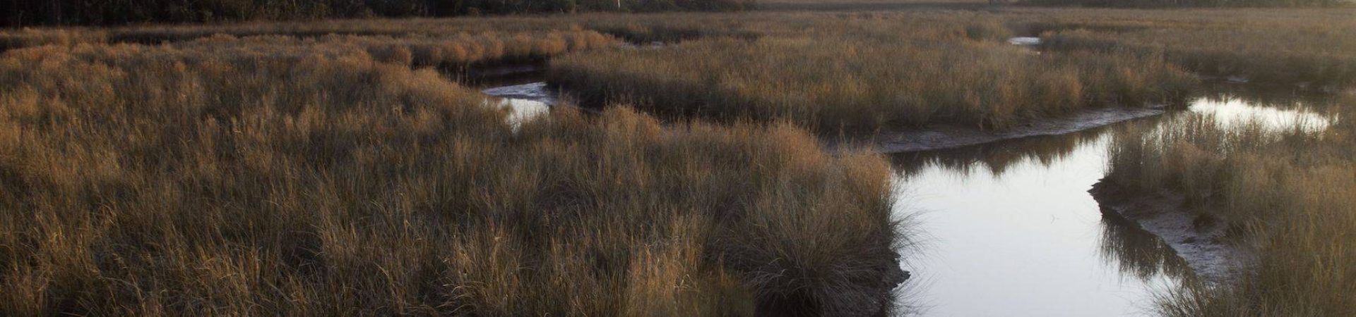 ms_coastal_stream